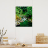 Little Qualicum River Poster (Küche)