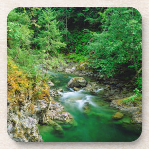 Little Qualicum Untersetzer