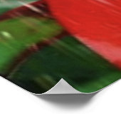 Little_Rain_(4) Poster (Ecke)