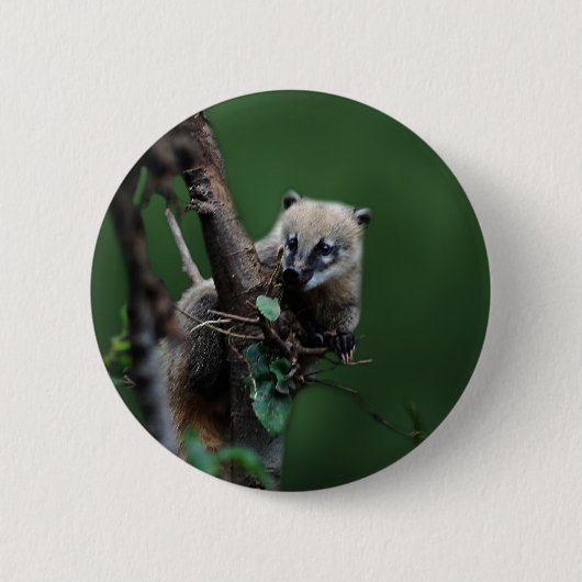 Little Rascals coati - lemur Button (Vorderseite)