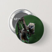 Little Rascals coati - lemur Button (Vorne & Hinten)