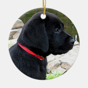 Little Red Collar - Black Lab Puppy - Labrador Keramik Ornament