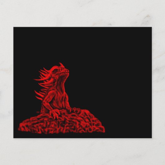 Little Red Dragon Flyer (Vorne)