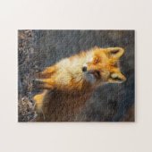 Little Red Fox Puzzle (Horizontal)