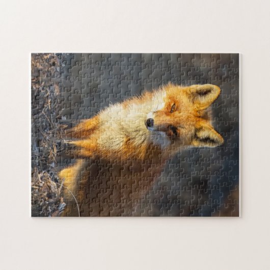 Little Red Fox Puzzle (Horizontal)