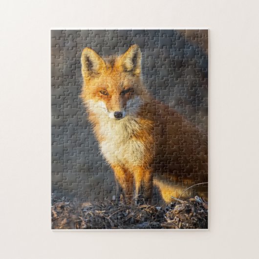 Little Red Fox Puzzle (Vertikal)