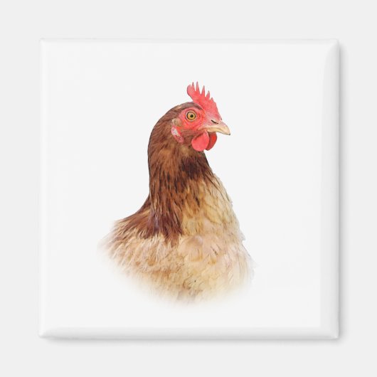 Little Red Hen Magnet (Vorne)