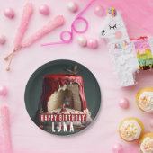 Little Red Riding Hood Birthday Cake - Pappteller (Party)