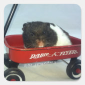 Little Red Wagon Quadratischer Aufkleber (Vorderseite)