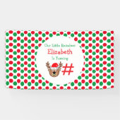 Little Reindeer Kindergeburtstag Banner (Horizontal)