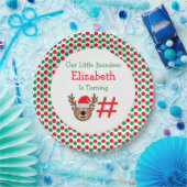 Little Reindeer Kindergeburtstag Pappteller (Party)