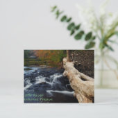 Little River Postkarte (Stehend Vorderseite)