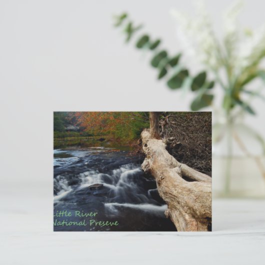 Little River Postkarte (Stehend Vorderseite)