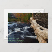 Little River Postkarte (Vorne/Hinten)