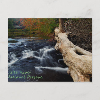 Little River Postkarte