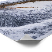 Little Robin bird Poster (Ecke)