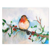 Little Robin Fotodruck (Vorne)