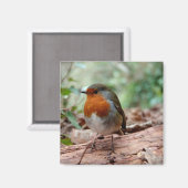 Little Robin Magnet (Vorderseite/Rückseite)