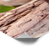 Little Robin Poster (Ecke)