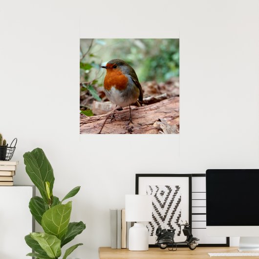 Little Robin Poster (Heimbüro)