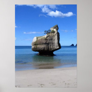 Little Rock Hahei Kathedrale Cove New Zealand Poster