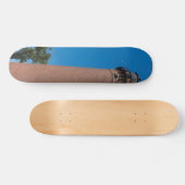 Little Sable Point Light Skateboard (Horizontal)