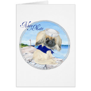 Little Sailor Pekingese