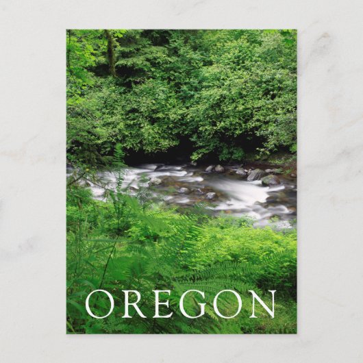 Little Sandy River and Ferns Postkarte (Vorderseite)