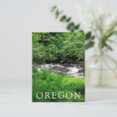 Little Sandy River and Ferns Postkarte (Stehend Vorderseite)