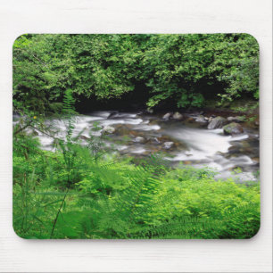 Little Sandy River und Farne Mousepad
