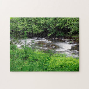 Little Sandy River und Farne Puzzle