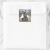 Little Scottie Angel Quadratischer Aufkleber (Tasche)