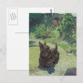 Little Scottie im Garten Postkarte (Vorne/Hinten)