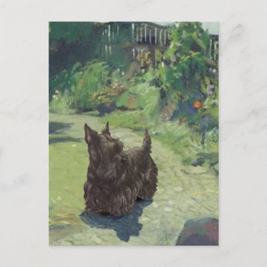 Little Scottie im Garten Postkarte (Vorderseite)