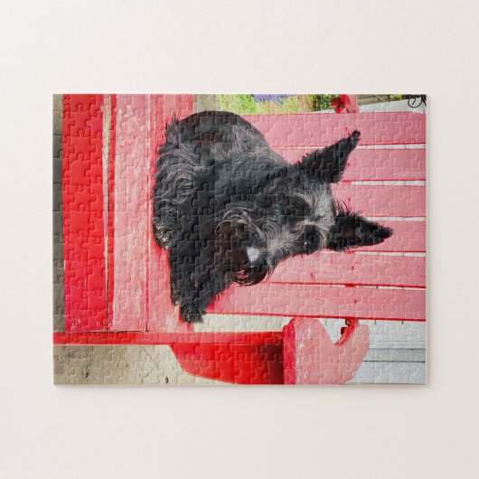 Little Scottie in einem großen roten Stuhl Puzzle (Horizontal)