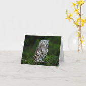 Little Screech Owl Note Karte (Gelbe Blume)