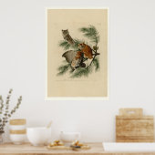 Little Screech Owl Poster (Küche)