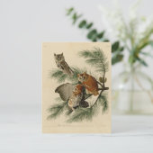 Little Screech Owl Postkarte (Stehend Vorderseite)