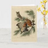 Little Screech Owl von Audubons Vögeln in Amerika Karte (Gelbe Blume)