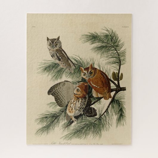 Little Screech Owl von Audubons Vögeln in Amerika Puzzle (Vertikal)