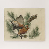 Little Screech Owl von Audubons Vögeln in Amerika Puzzle (Horizontal)