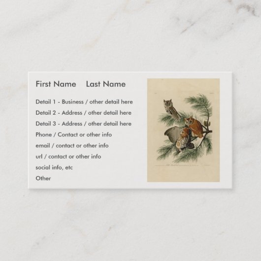 Little Screech Owl von Audubons Vögeln in Amerika Visitenkarte (Vorderseite)