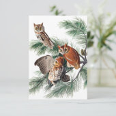 Little Screech Owl von John James Audubon Dankeskarte (Stehend Vorderseite)