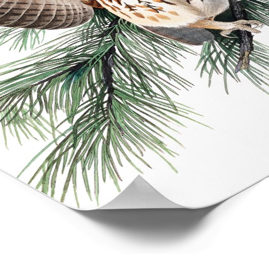 Little Screech Owl von John James Audubon Poster (Ecke)