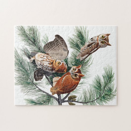 Little Screech Owl von John James Audubon Puzzle (Horizontal)