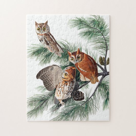 Little Screech Owl von John James Audubon Puzzle (Vertikal)