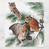 Little Screech Owl von John James Audubon Weinetikett (Einzelnes Label)