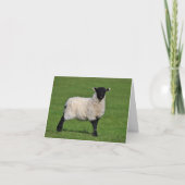 Little Sheep Custom Danke Card (Vorderseite)