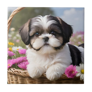 Little Shih Tzu Puppy-Basket-Blume Fliese