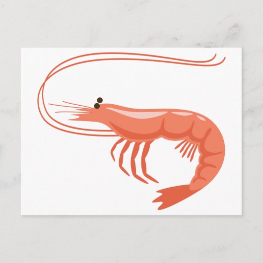 Little Shrimp Postkarte (Vorderseite)